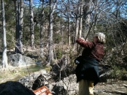 2010-03-12-Hamilton Pool-09.jpg